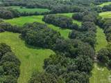 Tract 2 Sweetgum Ln - Photo 14