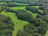 Tract 2 Sweetgum Ln - Photo 15
