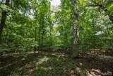 Tract 2 Sweetgum Ln - Photo 23