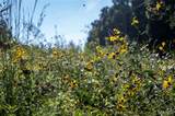 00 Leweke Lane - Photo 11