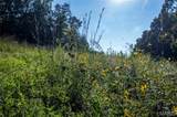 00 Leweke Lane - Photo 12