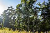 00 Leweke Lane - Photo 13