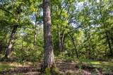 00 Leweke Lane - Photo 4