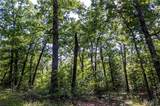 00 Leweke Lane - Photo 31