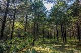 00 Leweke Lane - Photo 34