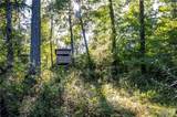 00 Leweke Lane - Photo 35