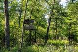 00 Leweke Lane - Photo 5