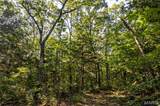 00 Leweke Lane - Photo 43