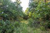 00 Leweke Lane - Photo 46