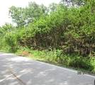 Lots 9 & 10 Whiskey Creek Road - Photo 1