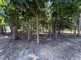 Lot 18 Hase's Lair - Photo 4