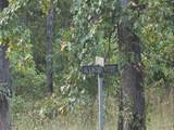108 Lindenwood Street - Photo 6