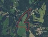 Tract 1 Off Madison 9568 - Photo 4