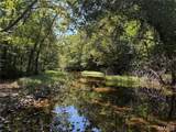 Tract 1 Off Madison 9568 - Photo 7