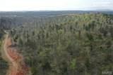 2A Furnace Creek Road - Photo 8