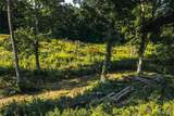 TBD Stegner Drive - Photo 2