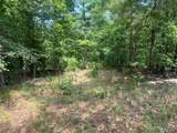 0 County Road 341 - Photo 4