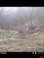 County Road 304 - Photo 3
