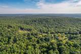 16902 State Highway F - Photo 9