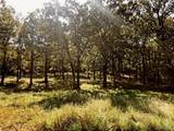 10240 County Road 3060 - Photo 1