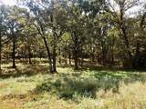10240 County Road 3060 - Photo 2