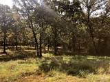 10240 County Road 3060 - Photo 3