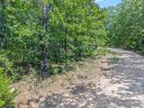 0 Little Deer Trail - Photo 3