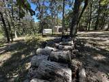 180 Wayne 521 A - Photo 19