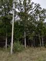 11050 County Road 2220 - Photo 9