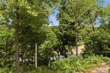 Tract 5 Circle B Road - Photo 12