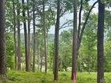 Tract 6 Circle B Road - Photo 17