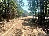 Tract 1 & 2 West Highway 32 - Photo 6