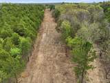 Tract 1 & 2 West Highway 32 - Photo 7