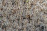 TBD Tbd - Possibly Compass Road - Photo 28