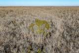 TBD Tbd - Possibly Compass Road - Photo 29