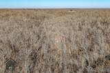 TBD Tbd - Possibly Compass Road - Photo 30