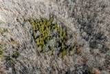 TBD Tbd - Possibly Compass Road - Photo 32
