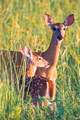 TBD Tbd - Possibly Compass Road - Photo 8