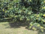 3135 Bassett Road - Photo 30