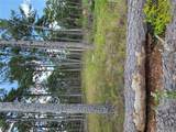 17740 County Road 7460 - Photo 11
