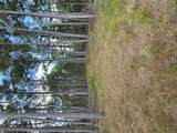 17740 County Road 7460 - Photo 13