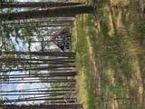 17740 County Road 7460 - Photo 5