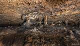000 Pool Holler Cave Road - Photo 17