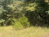 0 Terre Bleue And Hedgeapple Drive - Photo 8