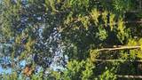 6303 Hillsboro House Springs Road - Photo 1