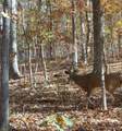 00 Bassett Road - Photo 13