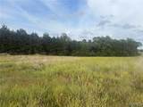 32 acres Pinckney Street - Photo 2