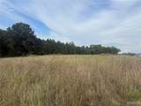32 acres Pinckney Street - Photo 12