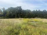 32 acres Pinckney Street - Photo 3