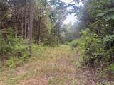 32 acres Pinckney Street - Photo 6